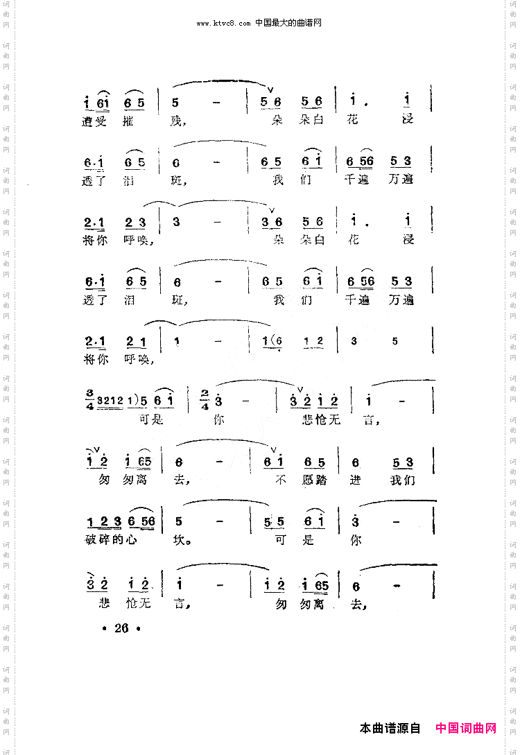 春天永留我心间
