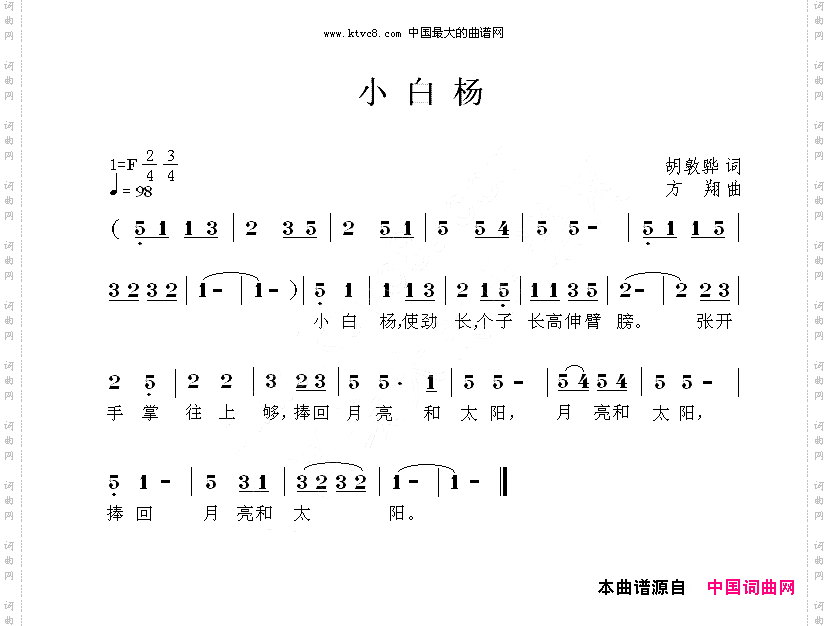小白杨