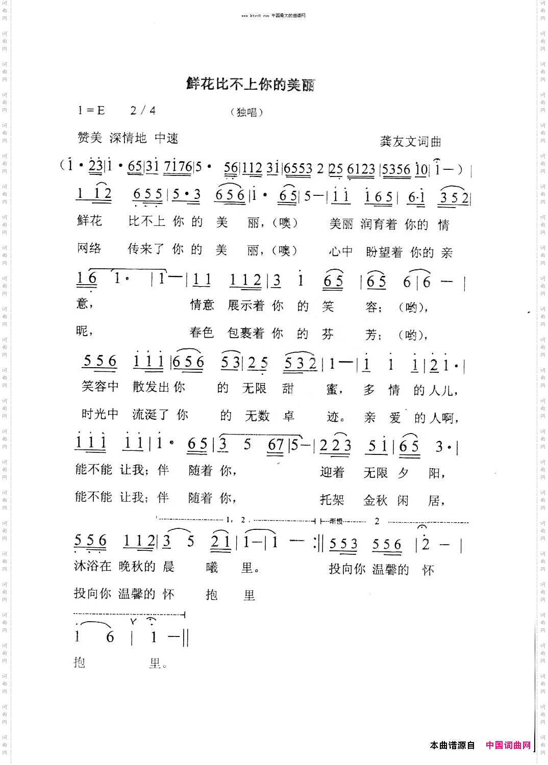 鲜花比不上你的美丽