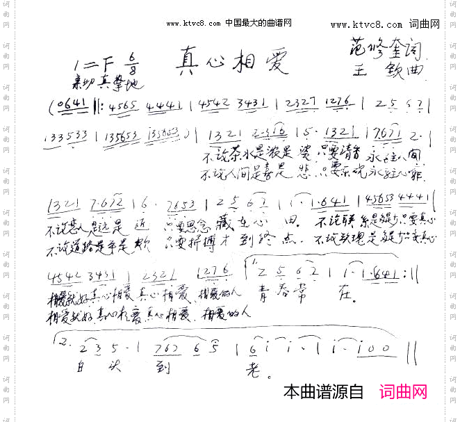 真心相爱王钦曲