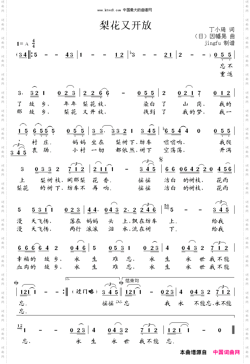 梨花又开放