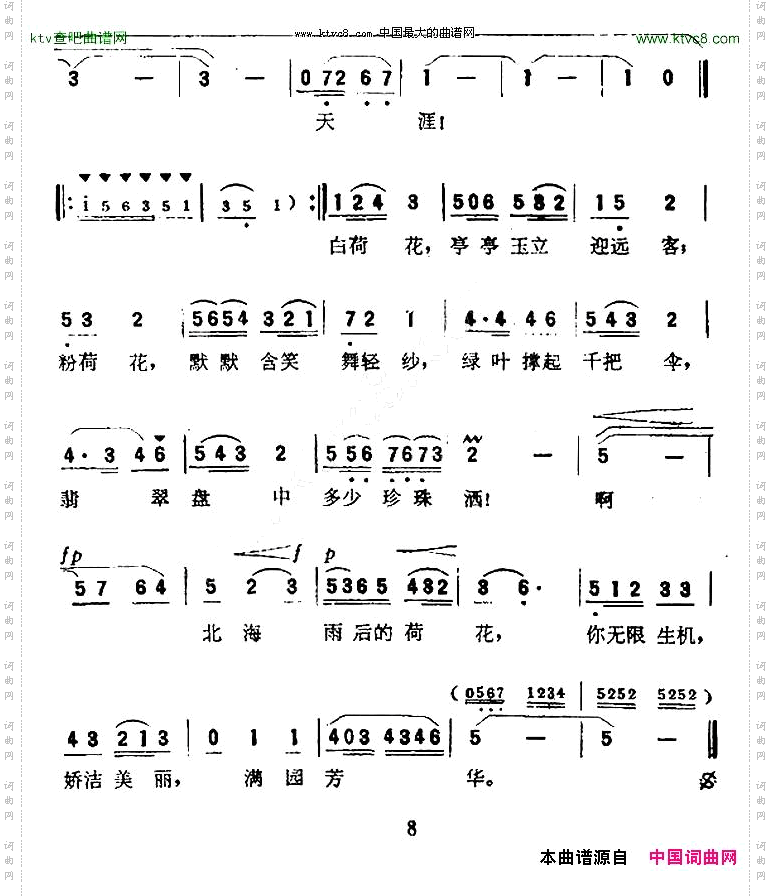 北海荷花带雨开