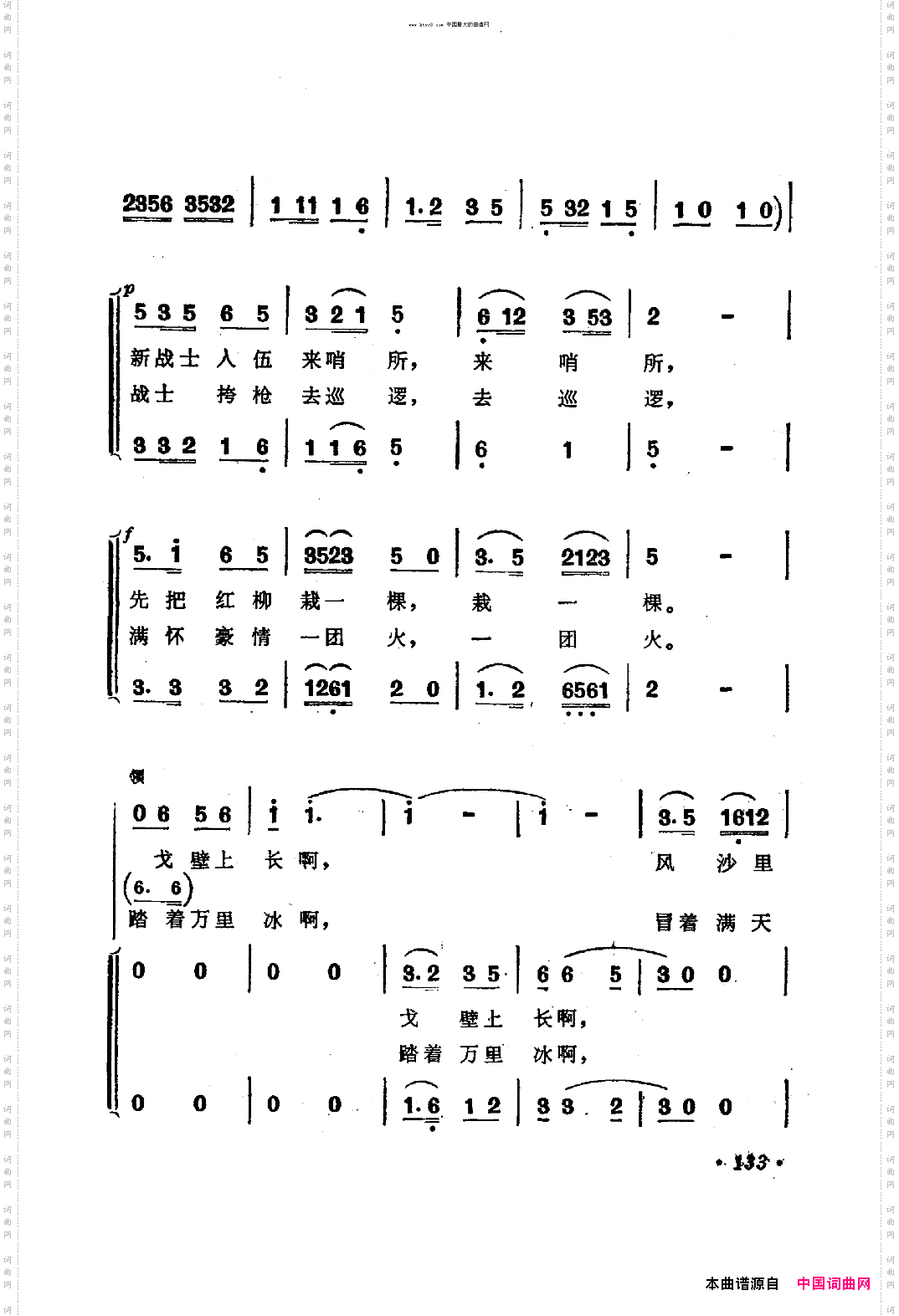 边防战士爱红柳