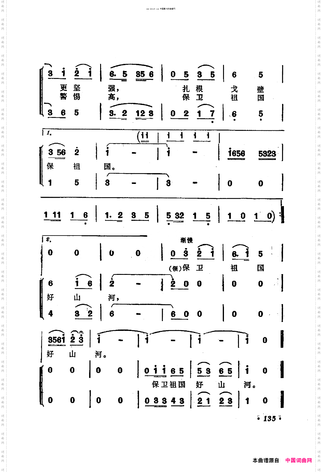 边防战士爱红柳