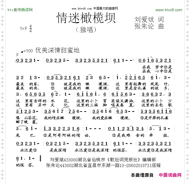 情迷橄榄坝
