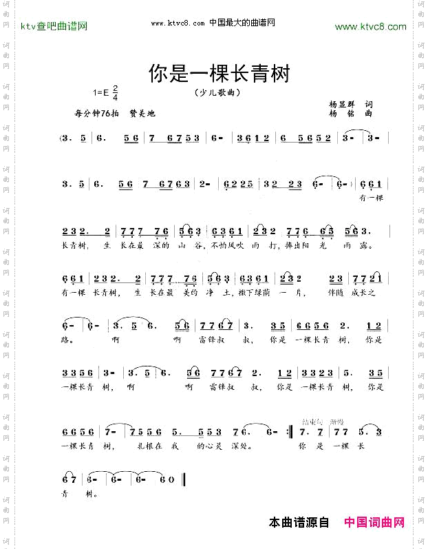 你是一棵长青树