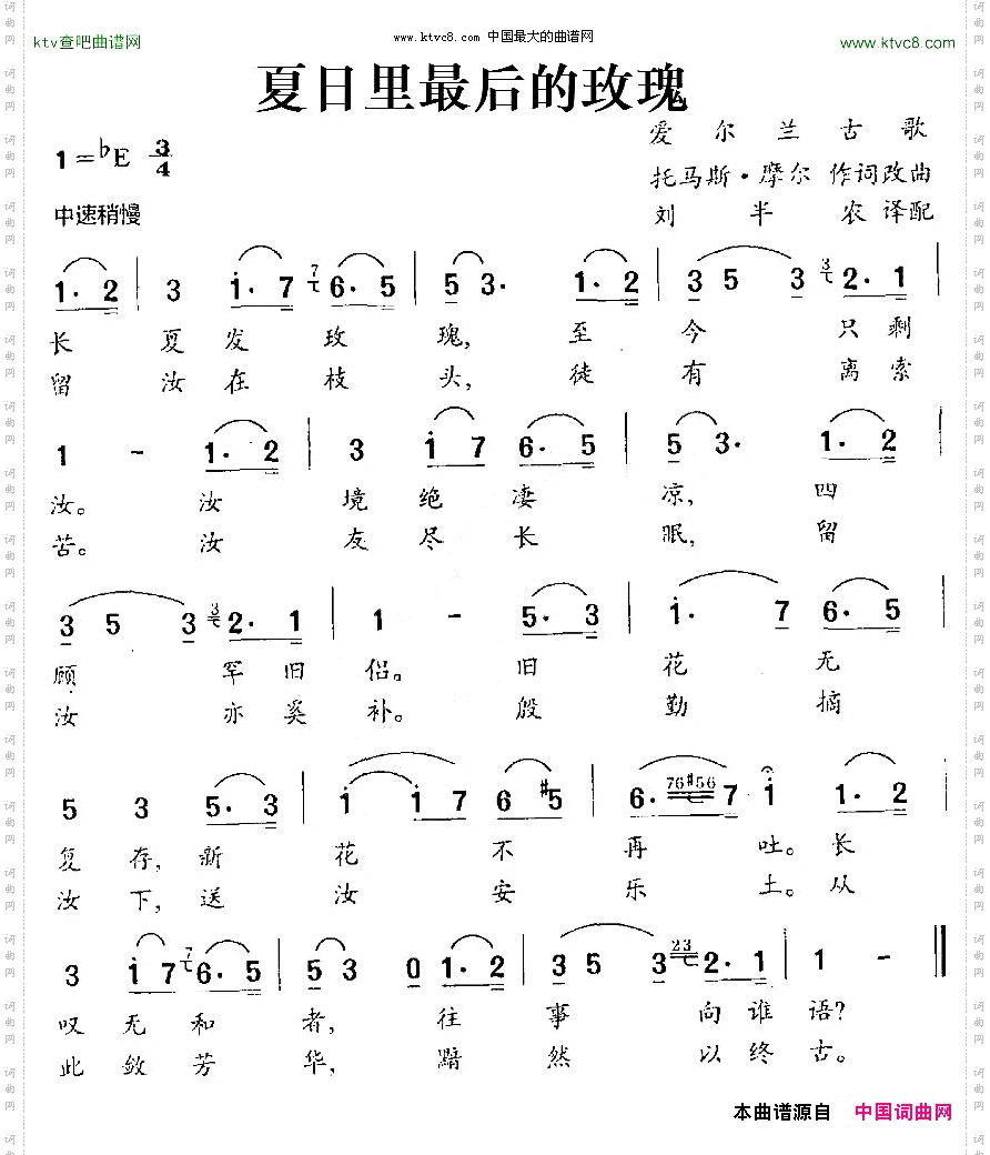 夏日里最后的玫瑰