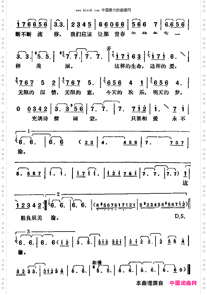 让青春年华象花一样美丽