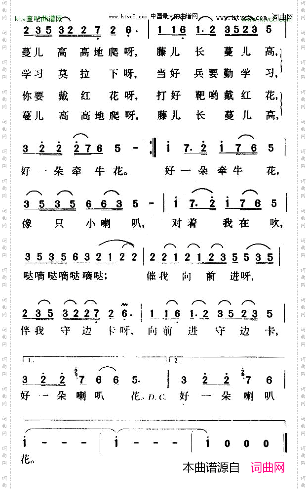 哨所里的喇叭花