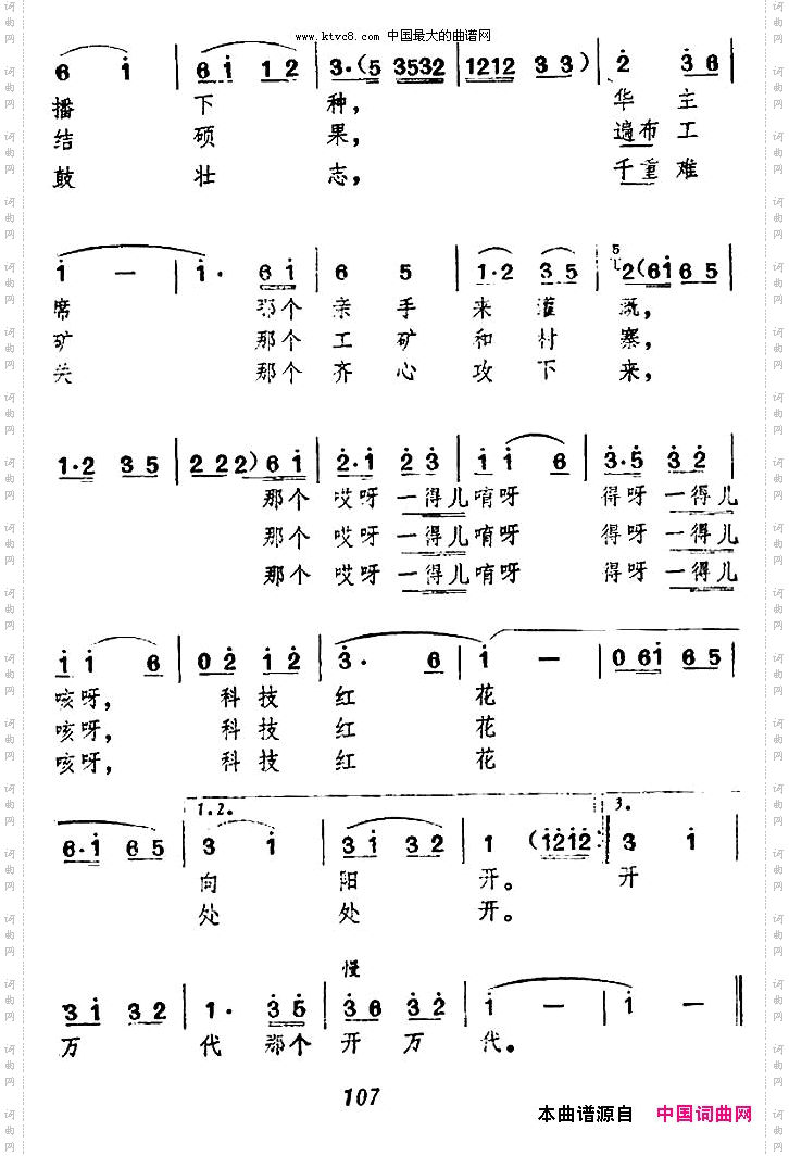 科技红花向阳开