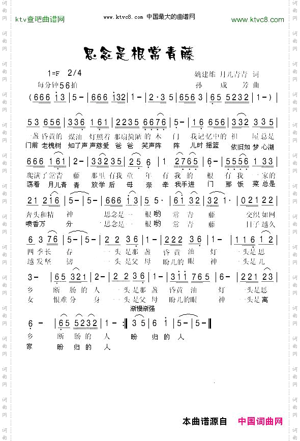 思念是根常青藤