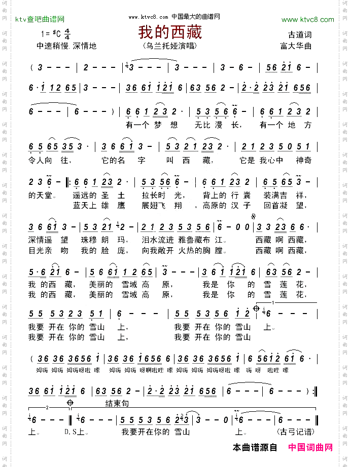 我的西藏