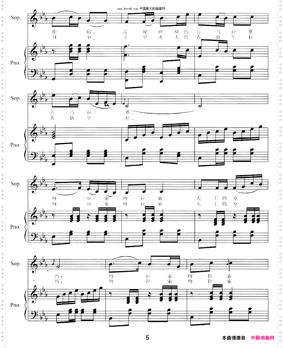 天上的卓玛正谱