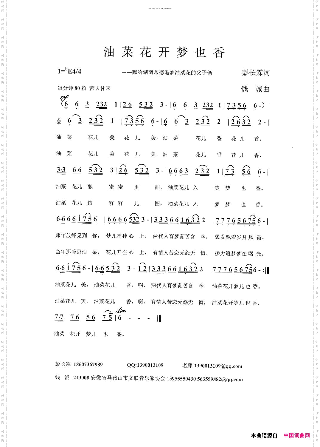 油菜花开梦也香