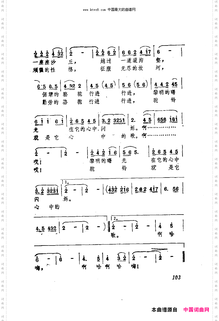 我赞美你，骆驼