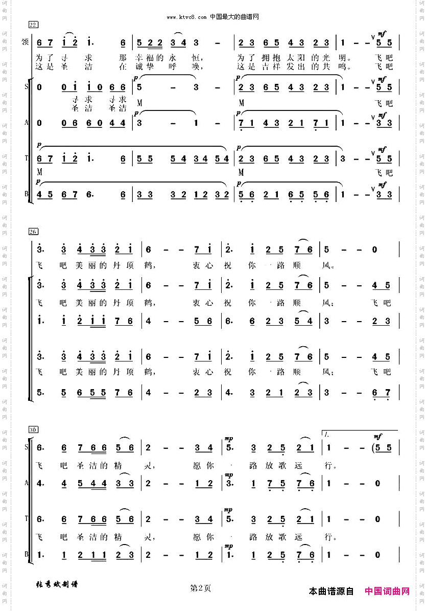 飞翔吧，美丽的丹顶鹤