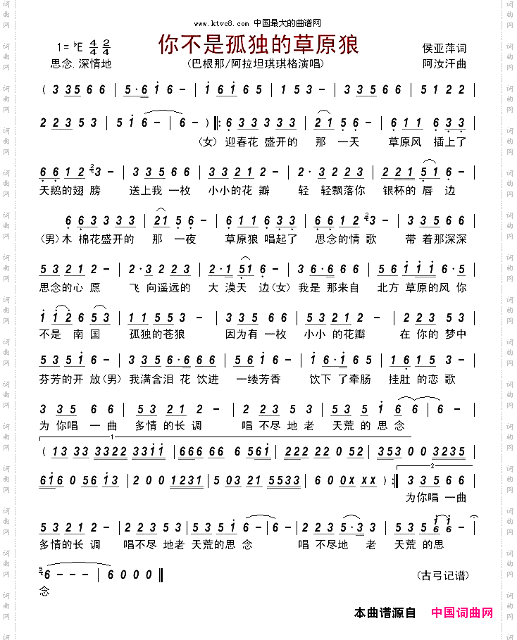 你不是孤独的草原狼