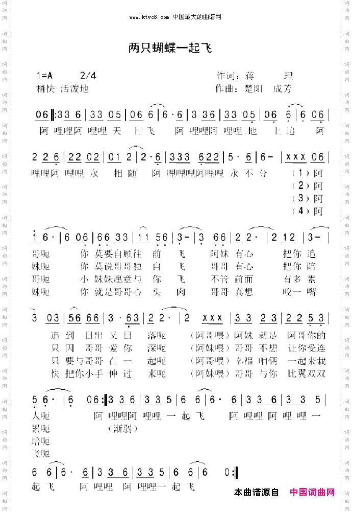 两只蝴蝶一起飞