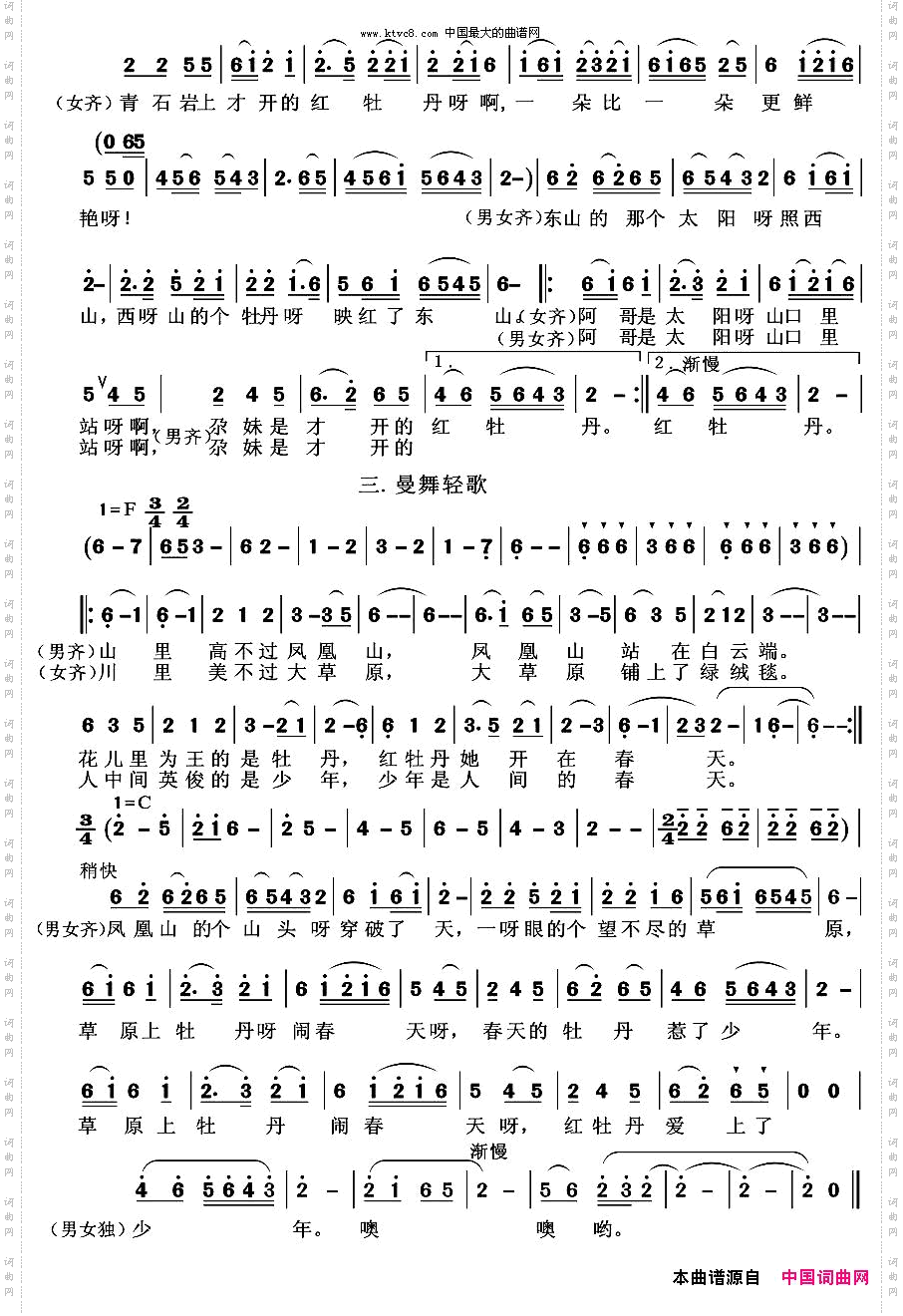 凤凰山下红牡丹