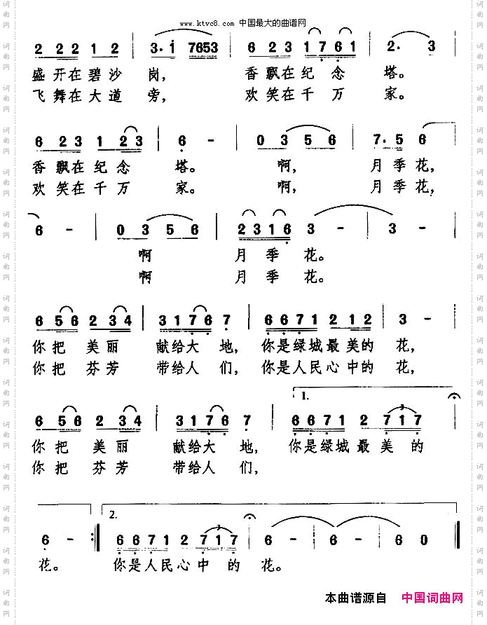 我爱绿城月季花