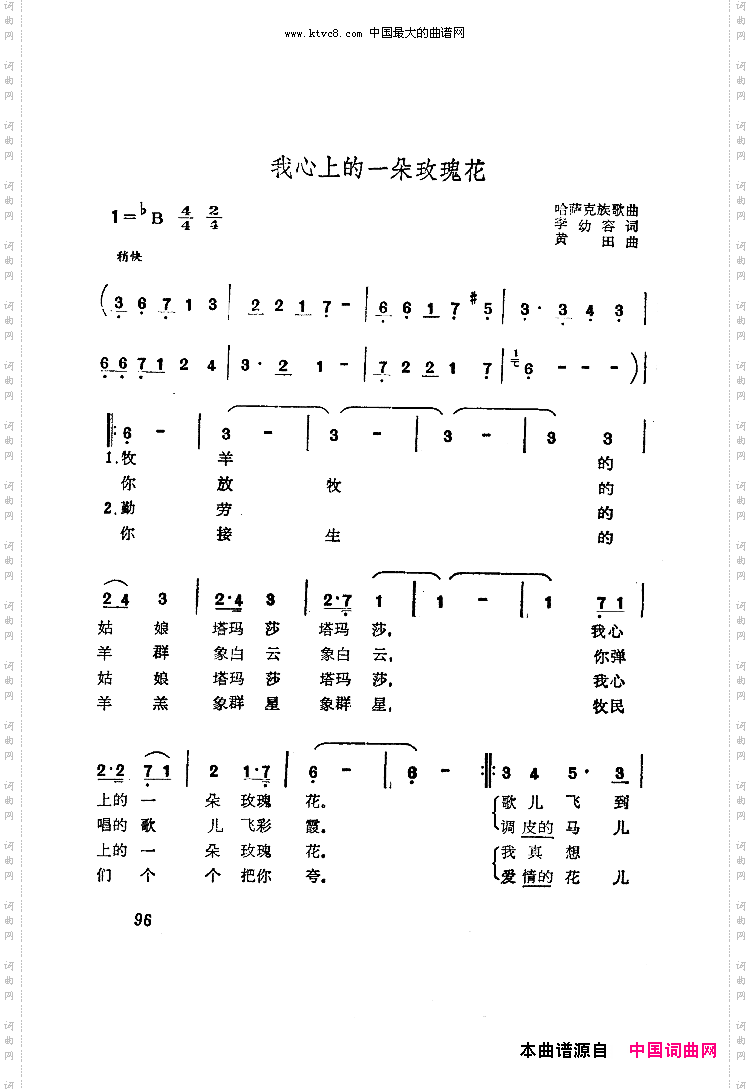 我心上的一朵玫瑰花