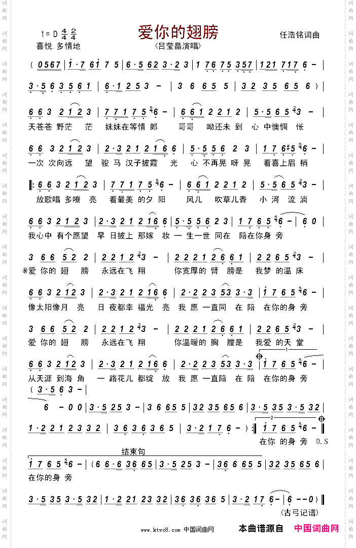 爱你的翅膀