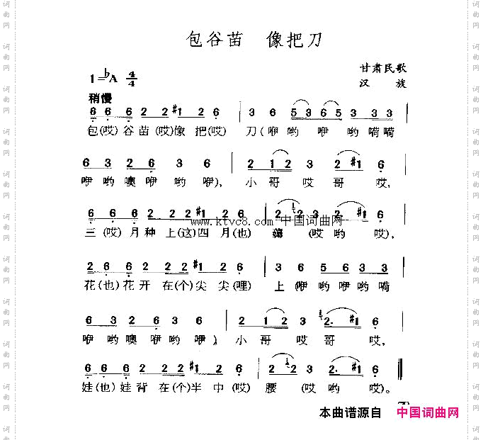 包谷苗像把刀