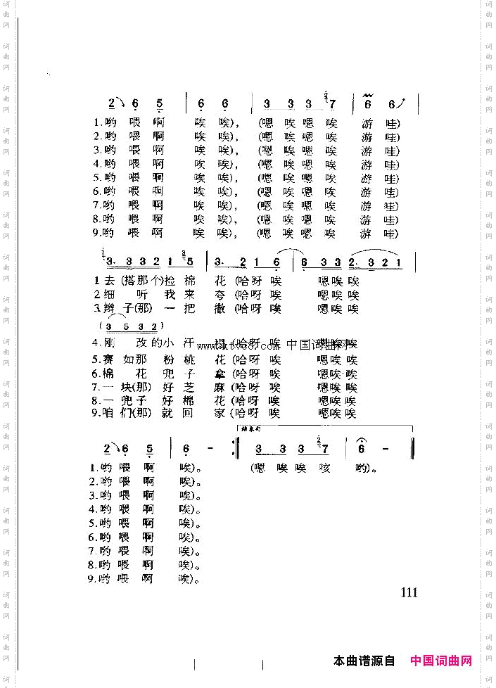 捡棉花