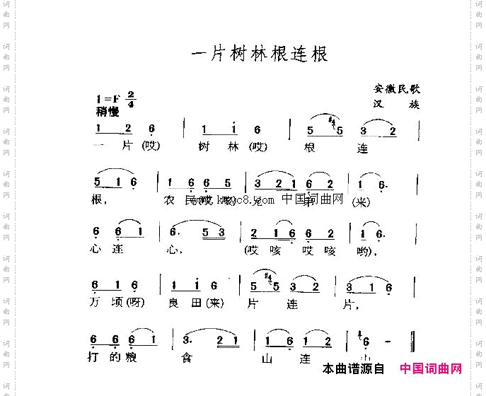 一片树林根连根