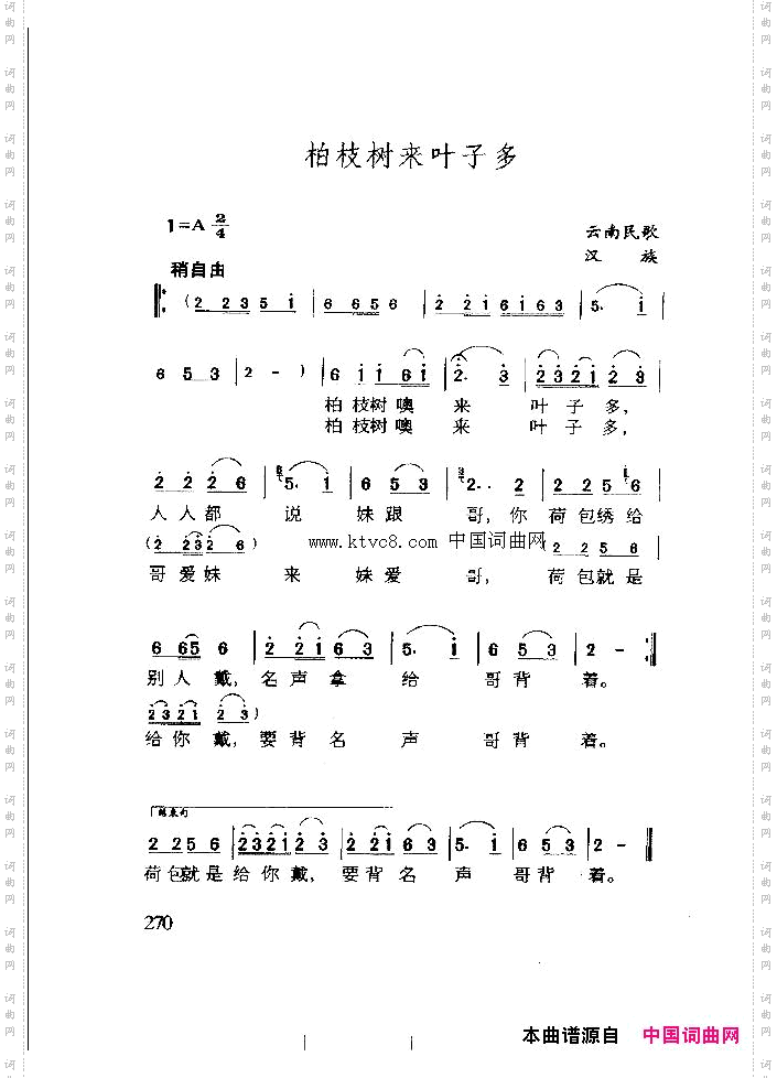 柏枝树来叶子多