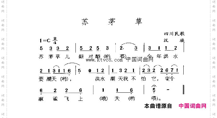 苏茅草