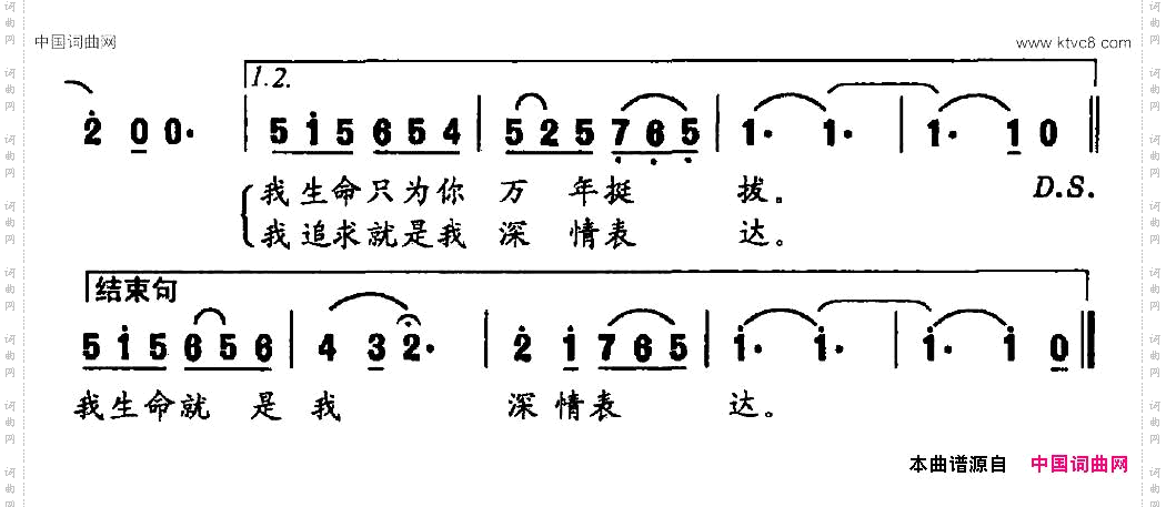 亲亲的中华