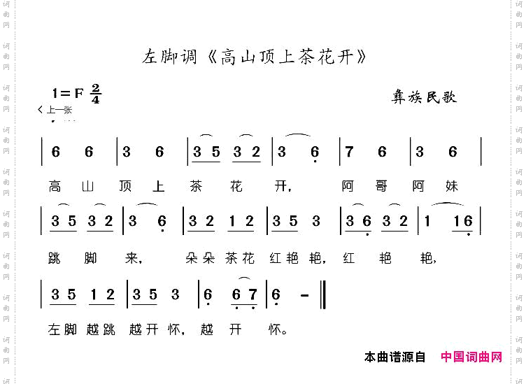高山顶上茶花开