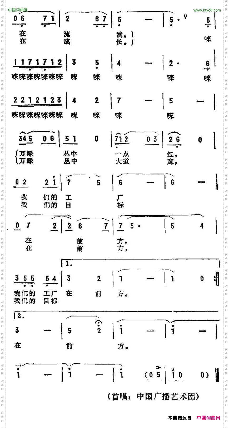 走在林荫大道上