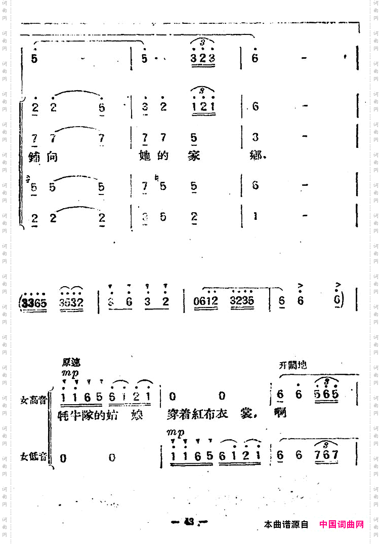牦牛队的姑娘