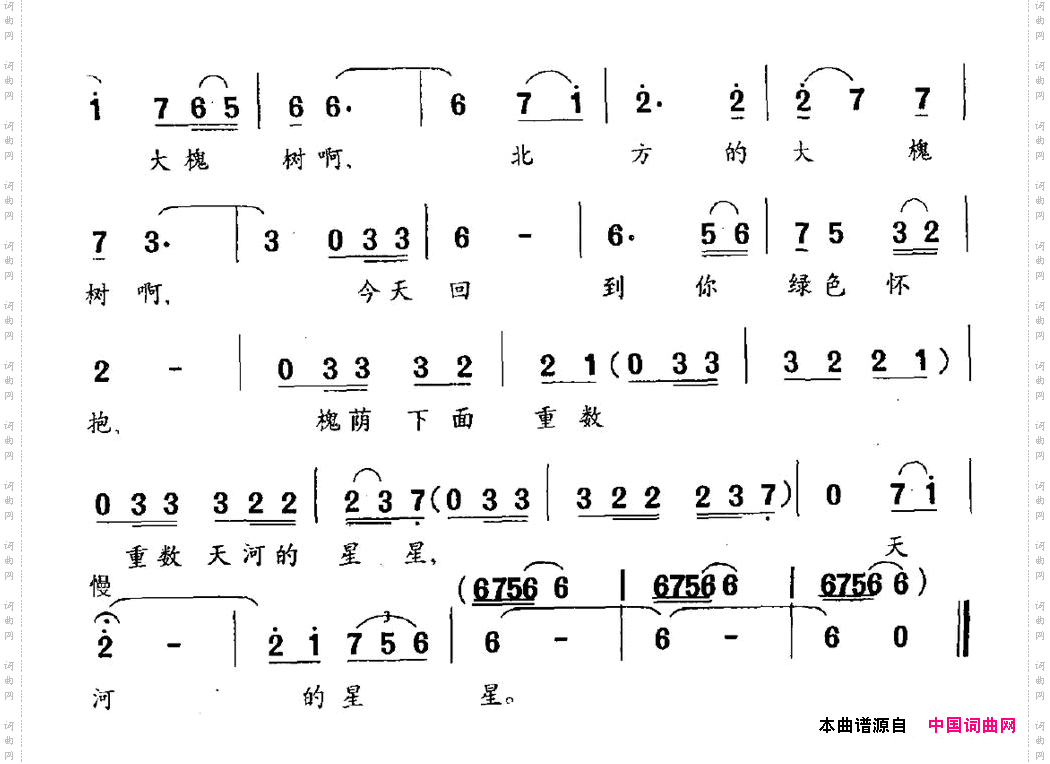 北方的大槐树黎琦词陈枫曲_北方的大槐树黎琦词 陈枫曲