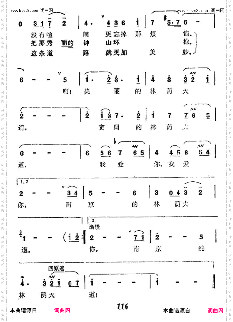 我爱你 南京的林荫大道