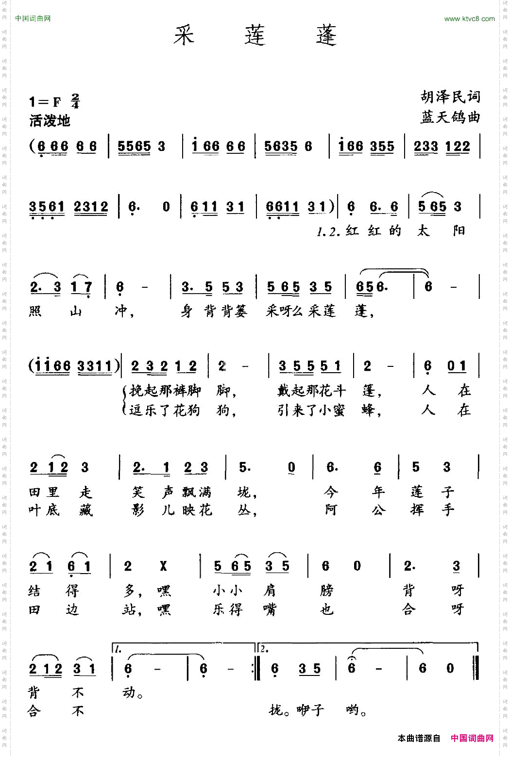 采莲蓬胡泽民词蓝天鸽曲