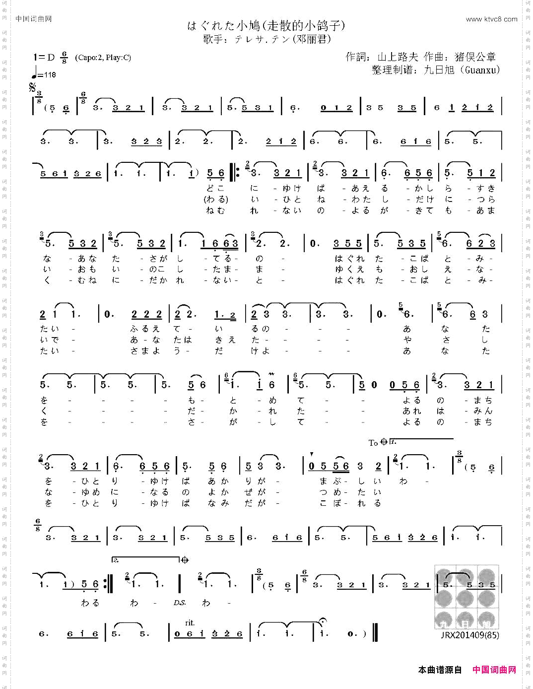 [日]はぐれた小鳩走散的小鸽子