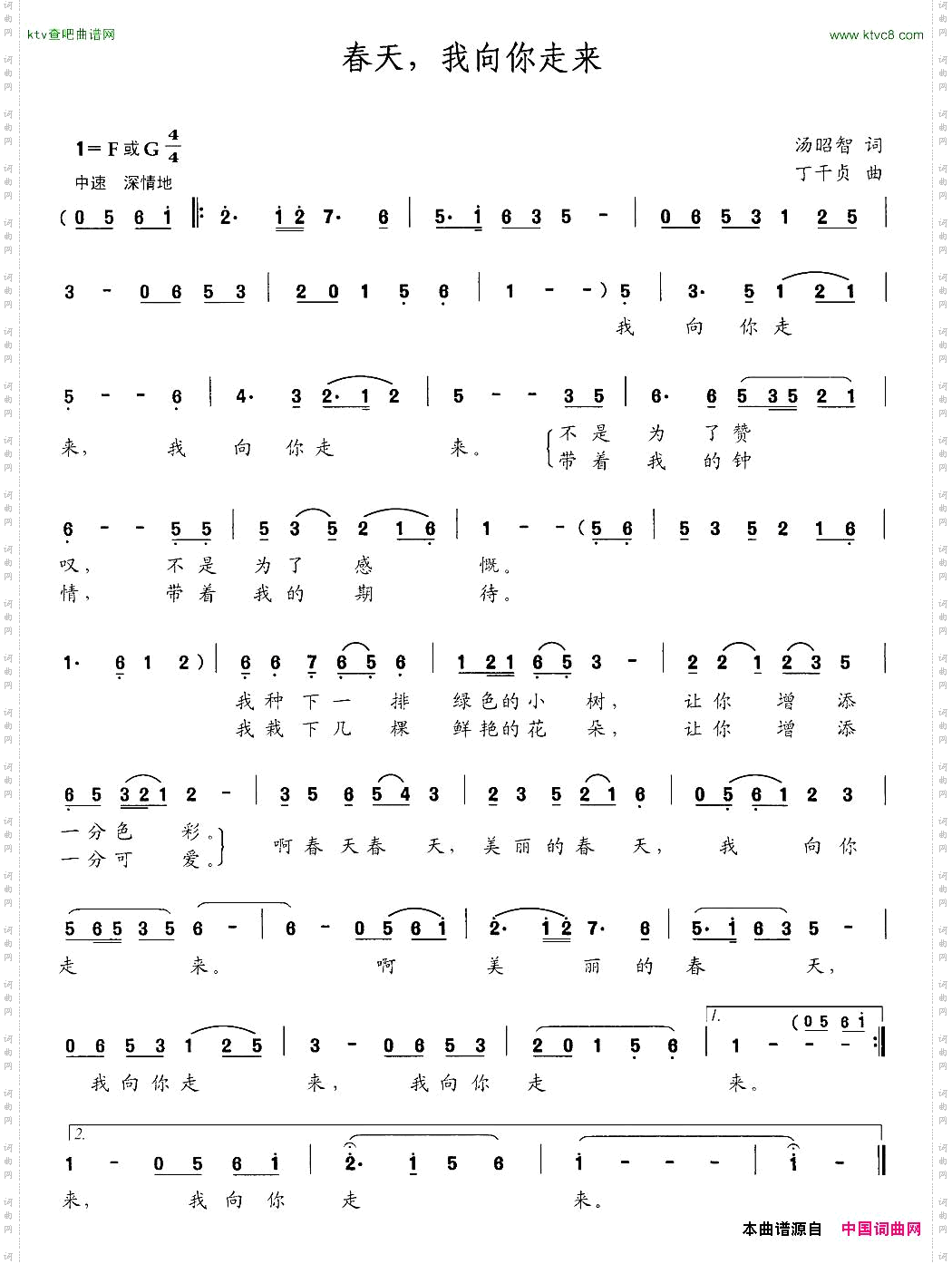 春天,我向你走来