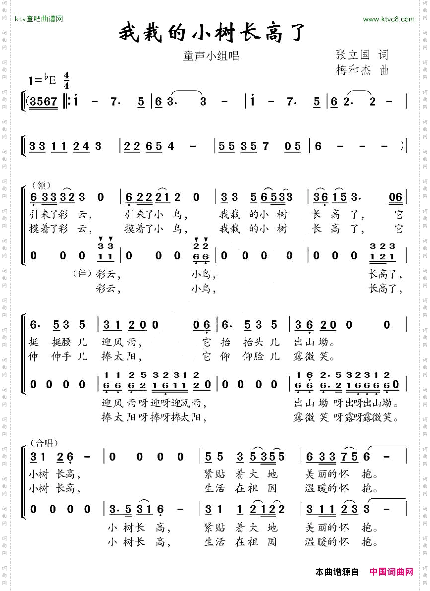 我栽的小树长高了合唱