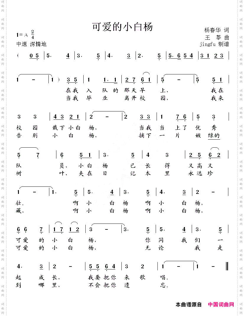 可爱的小白杨