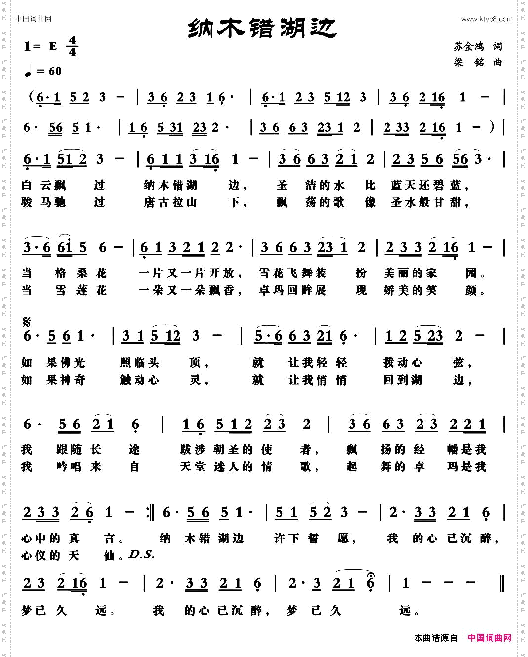 纳木错湖边