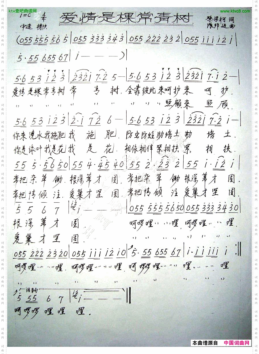爱情是棵常青树