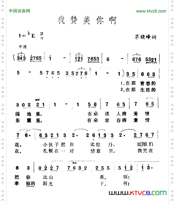 我赞美你啊