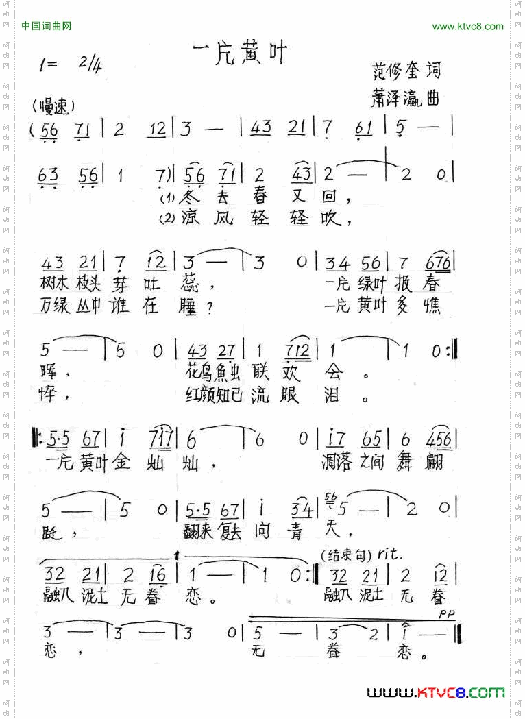一片黄叶