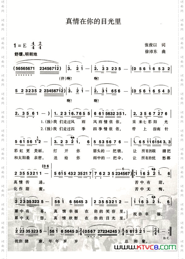 真情在你的目光里