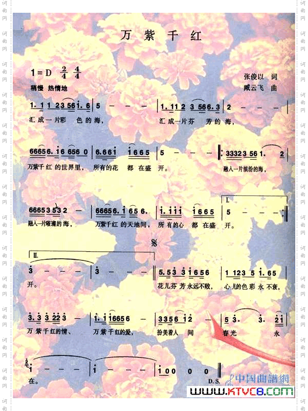 万紫千红