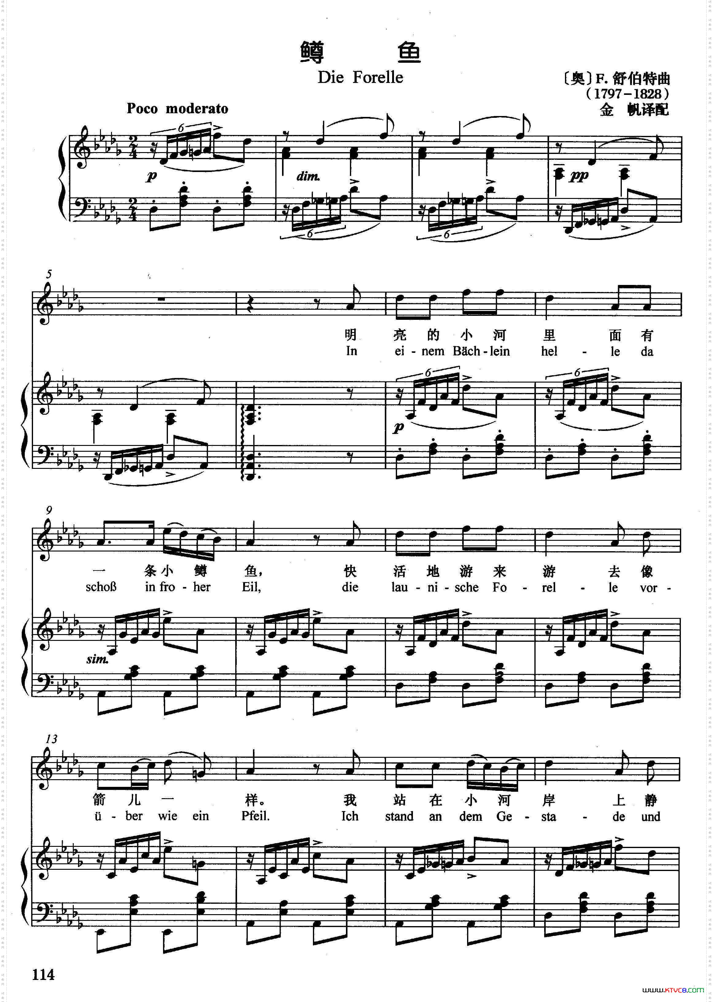 鳟鱼 鳟鱼_正谱