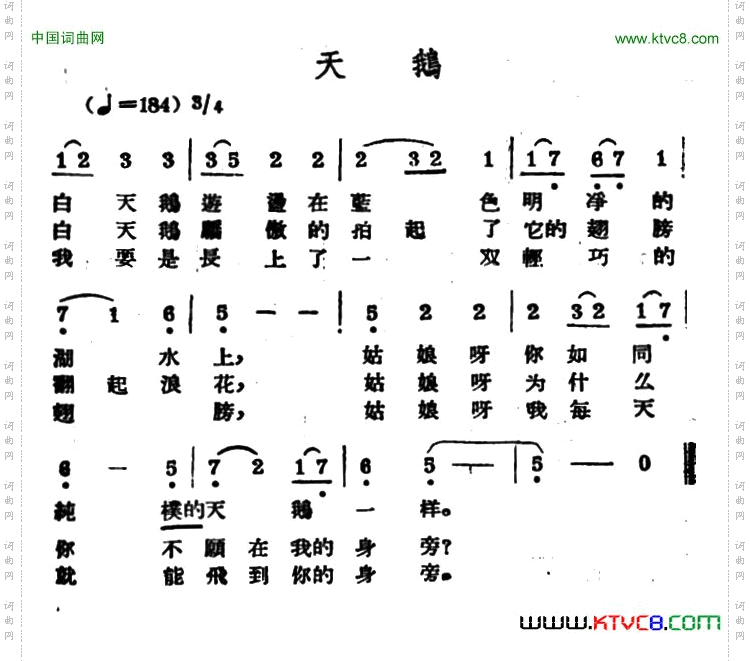 天鹅哈萨克民歌